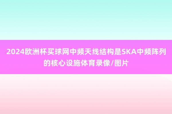 2024欧洲杯买球网中频天线结构是SKA中频阵列的核心设施体育录像/图片