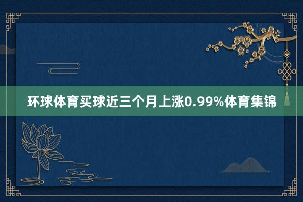 环球体育买球近三个月上涨0.99%体育集锦