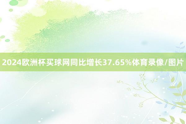 2024欧洲杯买球网同比增长37.65%体育录像/图片