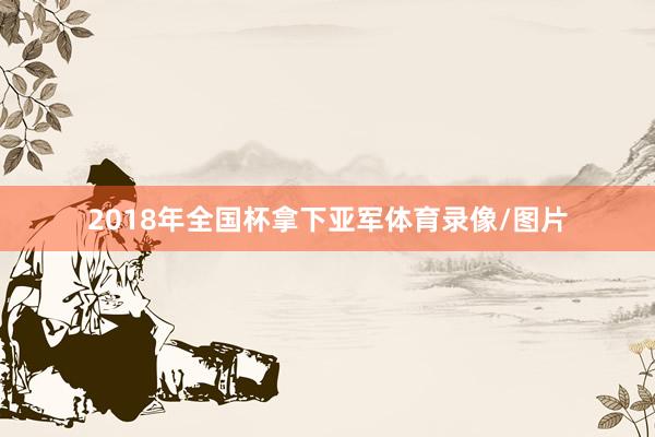2018年全国杯拿下亚军体育录像/图片
