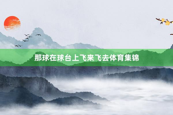 那球在球台上飞来飞去体育集锦