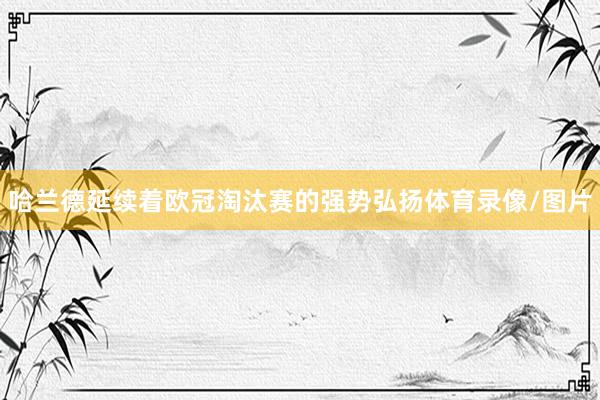哈兰德延续着欧冠淘汰赛的强势弘扬体育录像/图片